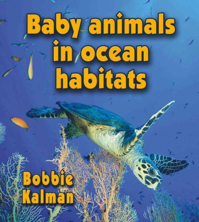 Baby animals in ocean habitats / Bobbie Kalman.