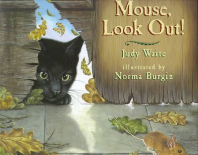 Mouse, look out! / Judy Waite ; illustrated by Norma Burgin.