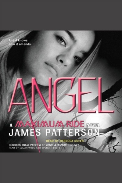 Angel [electronic resource] / James Patterson.