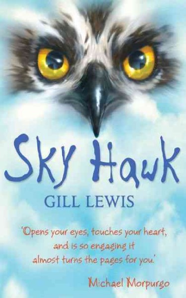Sky hawk / Gill Lewis ; [illustrations, Mark Owen].