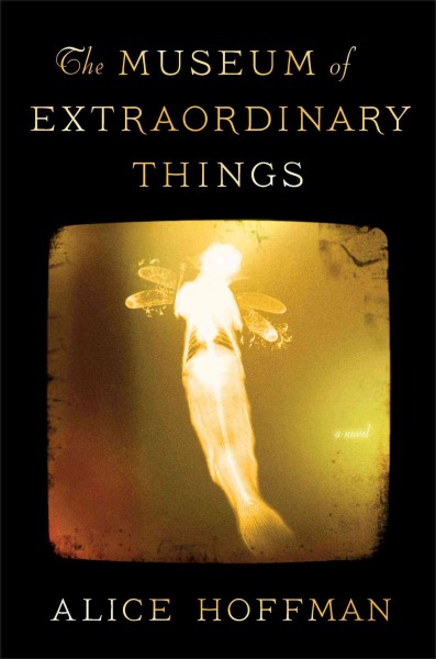 The Museum of extraordinary things : a novel / Alice Hoffman.