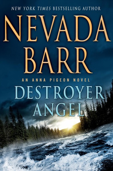 Destroyer angel / Nevada Barr.