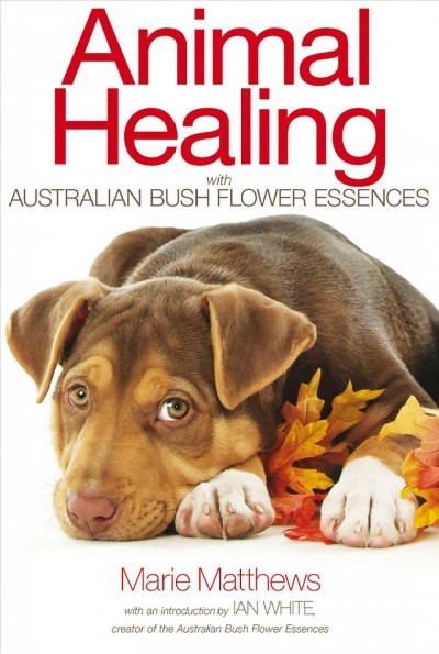 Animal healing with Australian bush flower essences [electronic resource] / Marie Matthews.