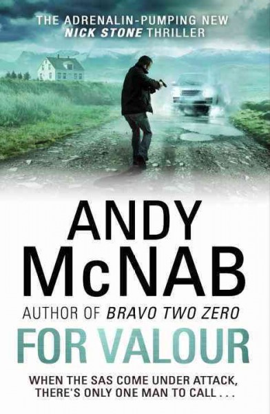 For valour / Andy McNab.