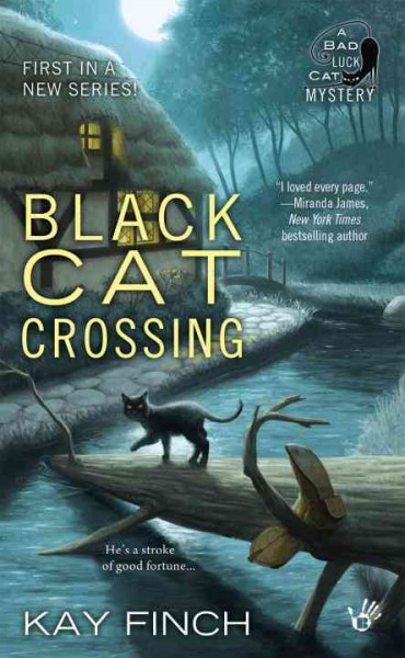 Black cat crossing / Kay Finch.
