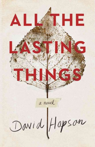 All the lasting things / David Hopson.