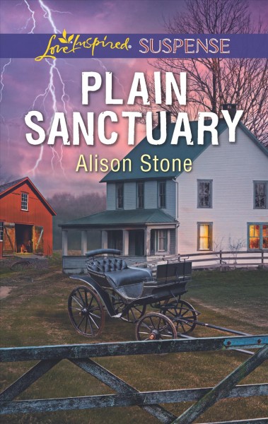 Plain sanctuary / Alison Stone.
