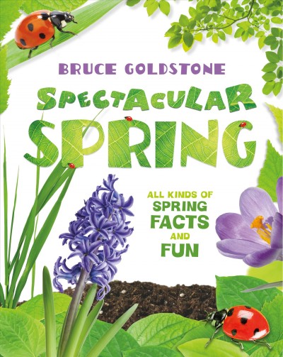 Spectacular spring / Bruce Goldstone.