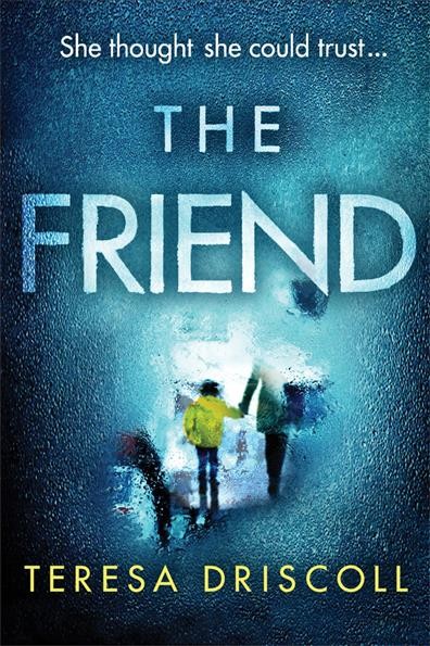 The friend / Teresa Driscoll.