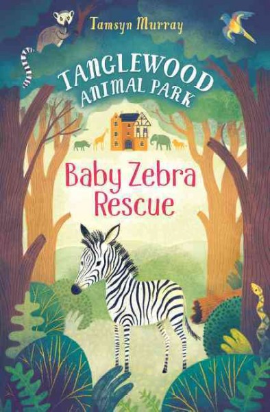 Baby Zebra Rescue / Tamsyn Murray.