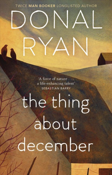 The thing about December / Donal Ryan.