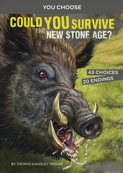 You Choose:  Could you survive the New Stone Age? / by Thomas Kingsley Troupe ; illustrated by Juan Calle.