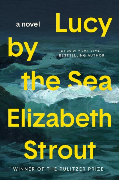 Lucy by the sea : a novel / Elizabeth Strout.