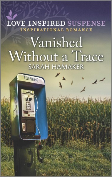 Vanished without a trace / Sarah Hamaker.
