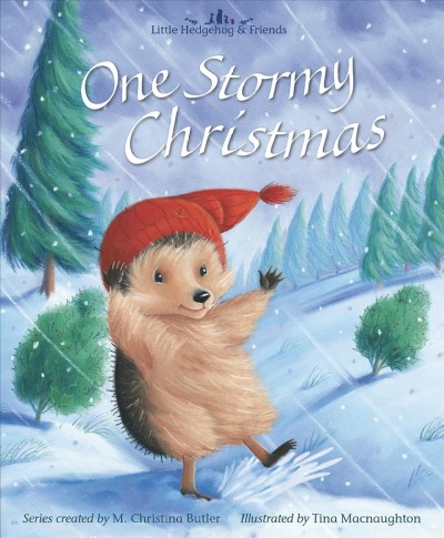 One stormy Christmas / series created by M. Christina Butler; illustrated by Tina Macnaughton.