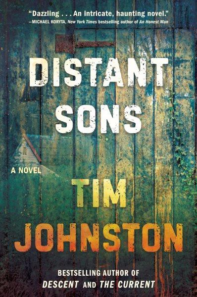 Distant sons : a novel / Tim Johnston.