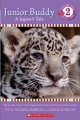 Go to record Junior buddy : a jaguar's tale