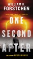 One second after  Cover Image
