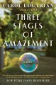 Go to record Three stages of amazement : a novel