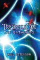 The gathering  Cover Image