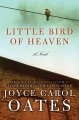 Little bird of heaven a novel  Cover Image