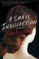 A small indiscretion : a novel  Cover Image
