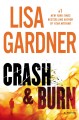 Crash & burn : a novel  Cover Image