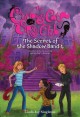 The secret of the shadow bandit  Cover Image