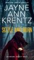 Sizzle and Burn. Cover Image